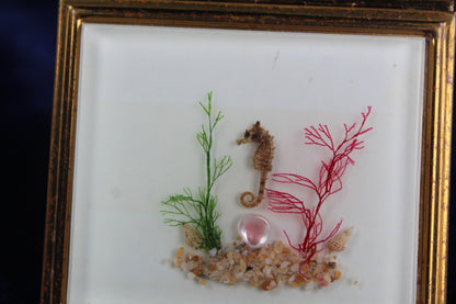 Vintage 1940s compact with a real seahorse, shells, and sea flora in a gold-tone frame.