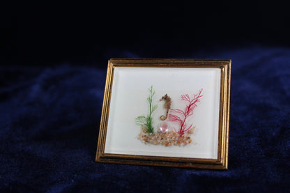 Vintage 1940s compact with real seahorse, shells, and coral in a gold-tone frame.