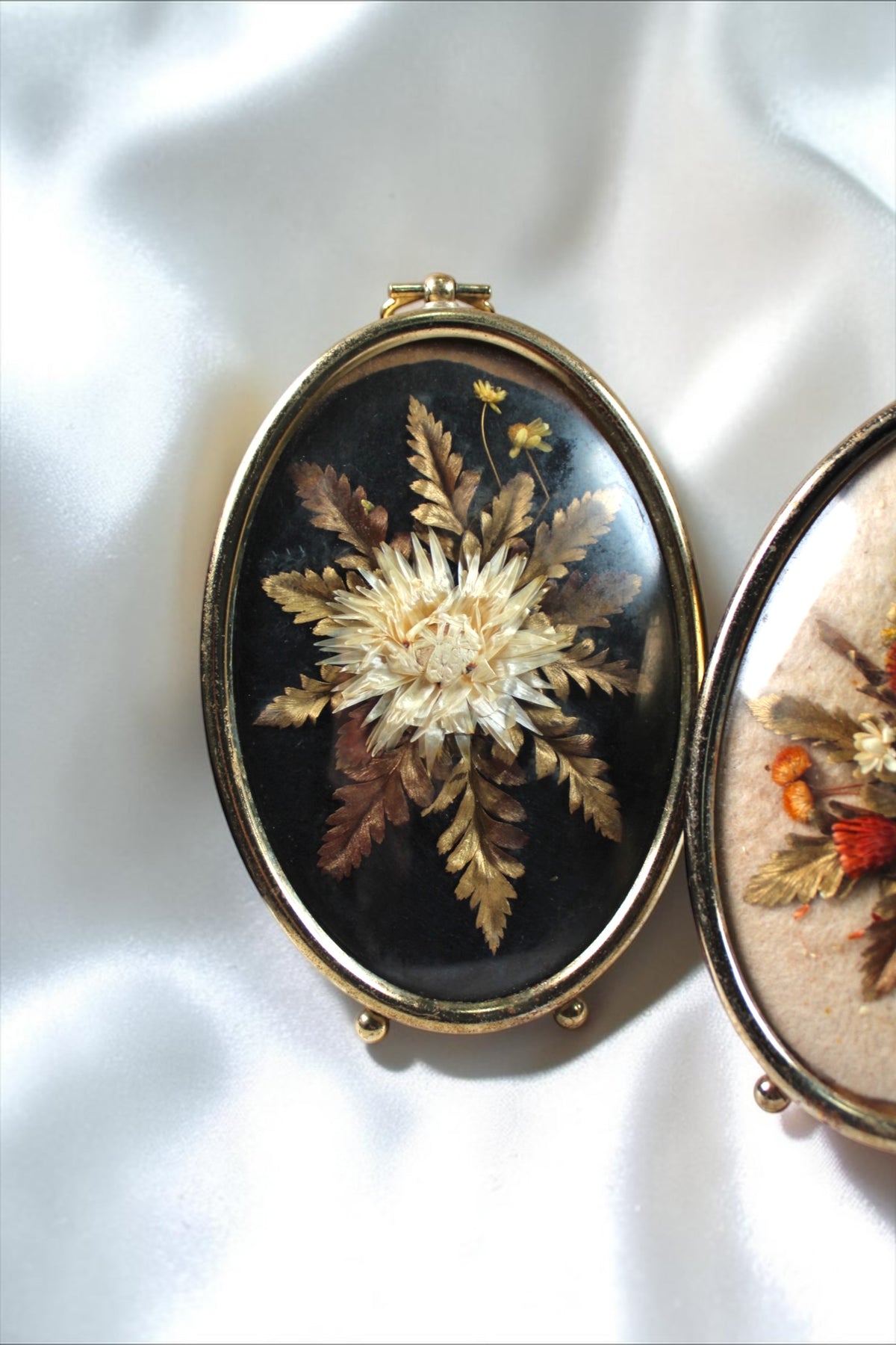 Oval vintage frames with pressed flowers. One has dark background, the other light.